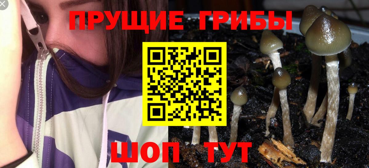 Галлюциногенные грибы мухоморы  Галлюциногенные грибы Psilocybe  Вход с VPN  Новоалтайск 